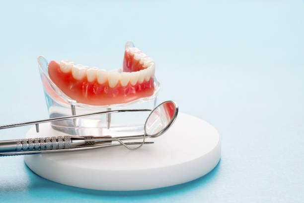 Best Preventive Dentistry  in Wesley Hills, NY